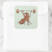 アリの持ち上げ重量 スクエアシール (バッグ)