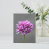 アリの紫色の花 ポストカード (スタンド正面)