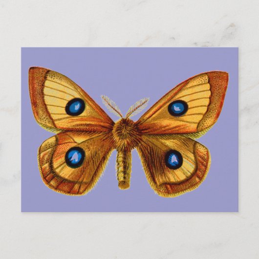 アリアタウ雄 ポストカード (正面)