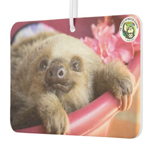 アリア、2本の指を持つナマケモノ カーエアーフレッシュナー (左)