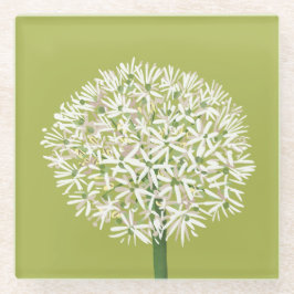 アリウムの花の植物画 | エレガントな植物 ガラスコースター