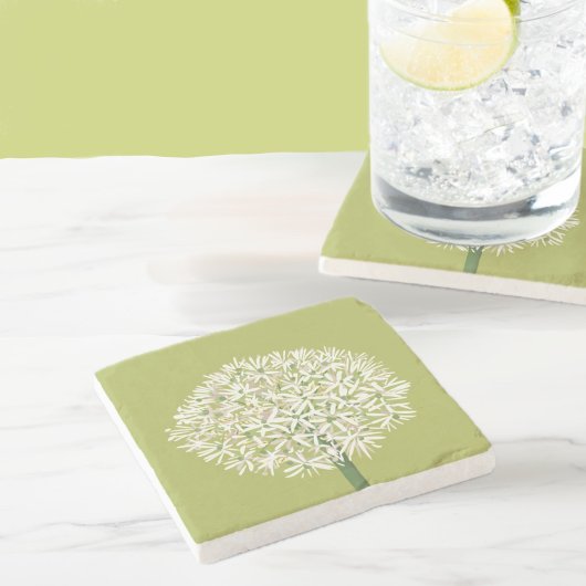 アリウムの花の植物画 | エレガントな植物 ストーンコースター