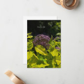 アリウムの隠蔽 ノートカード (正面/裏面インサイチュ)