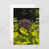 アリウムの隠蔽 ノートカード (正面/裏面)