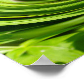 アリウム抽象芸術 ポスター (角)