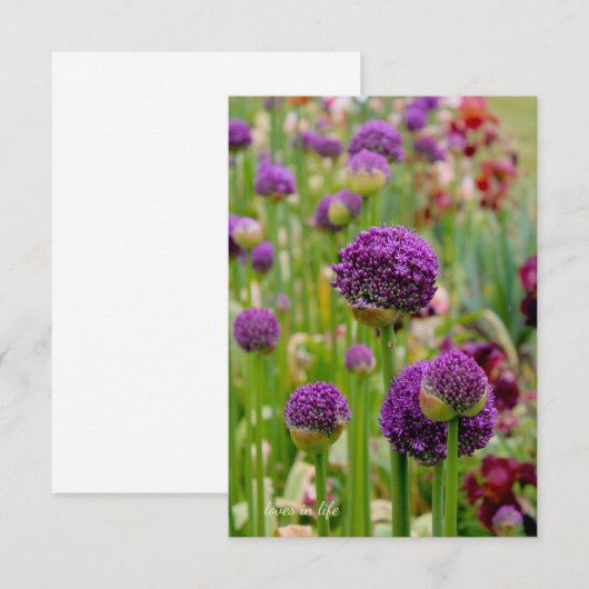 アリウム ノートカード (正面/裏面)