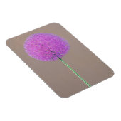 アリウム マグネット (右側)