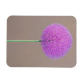 アリウム マグネット (横)