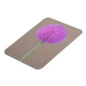 アリウム マグネット (左側)