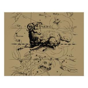 アリエス星座図 ヘヴェリウス 1690年頃 フォトプリント