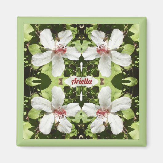 アリエラ～イースター～白いハイビスカスの花～ マグネット (正面)