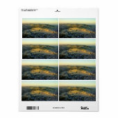 アリエルビューの山オリーブJersalem Israel ラベル (フルシート)