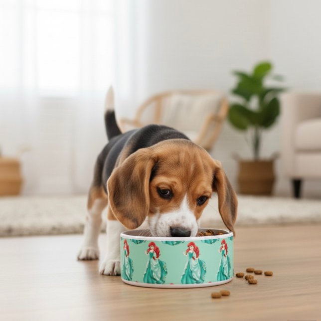 アリエルボウル ボウル (クリエイターアップロード済み)