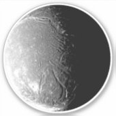 アリエル シール (正面)