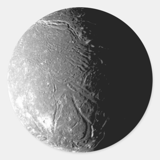 アリエル ラウンドシール (正面)