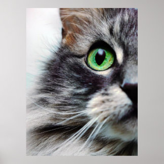 アリエ(ハーフ顔) ポスター