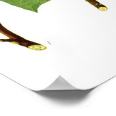 アリオデンドロン ポスター (角)