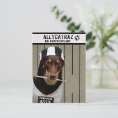 アリカトラズからの脱出 ポストカード (スタンド正面)