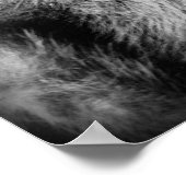 アリカラインディアン、クマの腹、ベアスキンを着て ポスター (角)