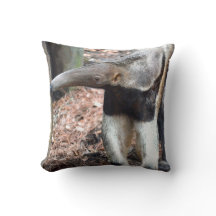 アリクイの鼻によって上げられる野生動物のイメージの写真