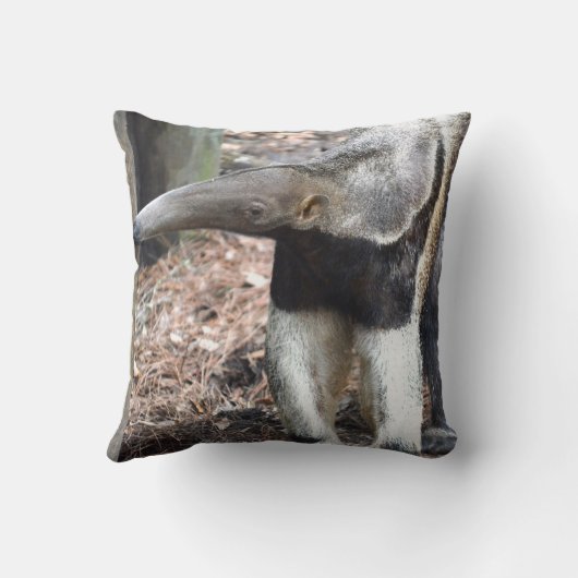 アリクイの鼻によって上げられる野生動物のイメージの写真 クッション (裏面)