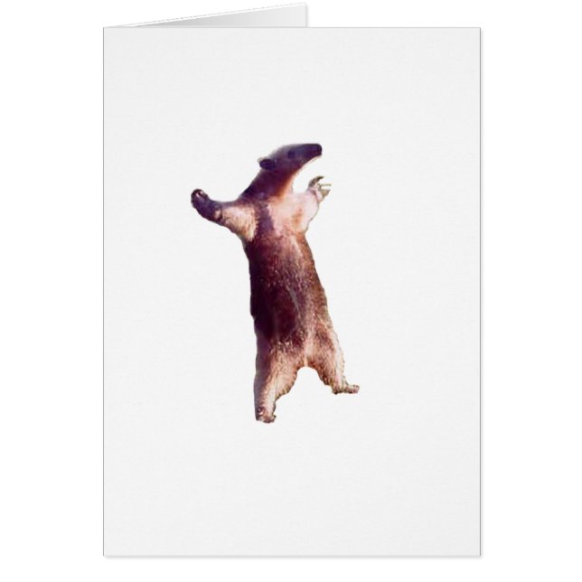 アリクイ (正面)