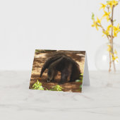 アリクイ カード (黄色い花)