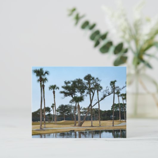 アリゲータズアットオスプレーポイントゴルフコース ポストカード (スタンド正面)