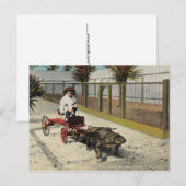 アリゲーターのゴーカートのポストカード ポストカード (正面/裏面)