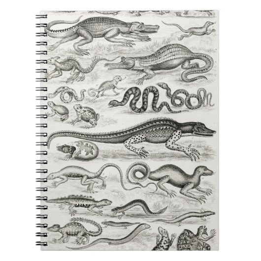 アリゲーターの爬虫類 ノートブック (正面)