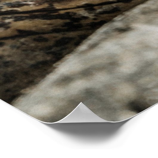 アリゲーターアイ ポスター (角)