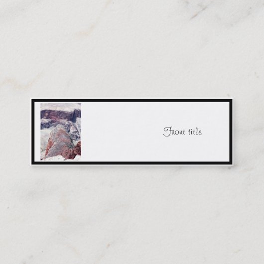 アリゲーターアットグランドキャニオン スキニー名刺 (正面)