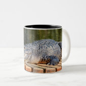 アリゲーターアットホモササ春野生生物州パーク ツートーンマグカップ (正面右)