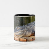 アリゲーターアットホモササ春野生生物州パーク ツートーンマグカップ (中央)