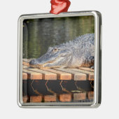 アリゲーターアットホモササ春野生生物州パーク メタルオーナメント (左)
