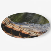 アリゲーターアットホモサッサ春野生生物州パーク ペーパープレート (アングル)