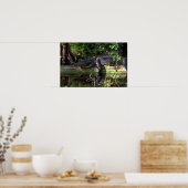 アリゲーターアフタヌーン，エバーグレーズ，フロリダ ポスター (キッチン)