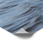 アリゲーターインザウォータープリント ポスター (角)