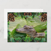 アリゲータークリスマスカード シーズンポストカード (正面/裏面)