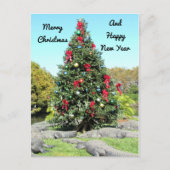 アリゲータークリスマスポストカード ポストカード (正面)