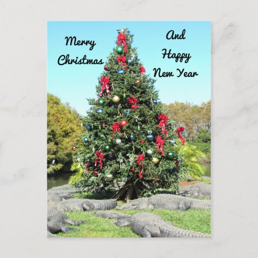 アリゲータークリスマスポストカード ポストカード (正面)