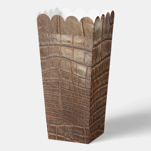 アリゲータークロコダレワイルドエキゾチックアニマルプリント フェイバーボックス (正面)