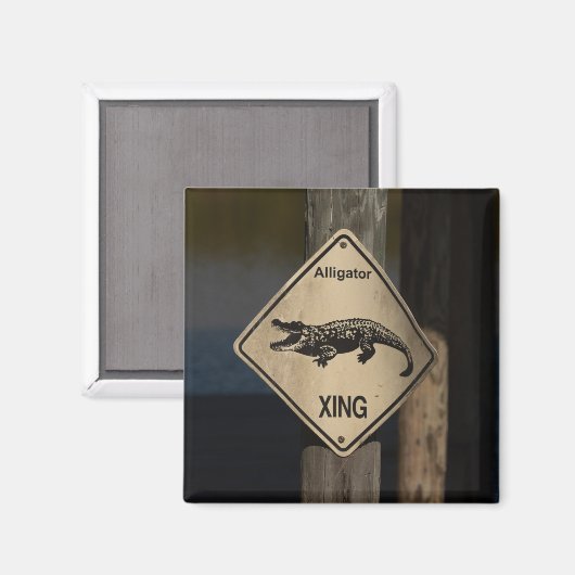 アリゲータークロッシング磁石 マグネット (正面/裏面)