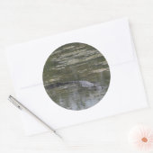 アリゲーターステッカー ラウンドシール (封筒)