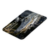 アリゲータースマイル,フロリダ州エバーグレーズ国立公園 マグネット (左側)