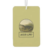 アリゲーターダークカーキオート/トラックエアーフレッシュナー カーエアーフレッシュナー (裏面)