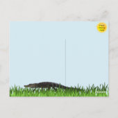 アリゲーターパーティーはがき ポストカード (裏面)