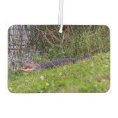 アリゲータービエラ湿地フロリダ写真 カーエアーフレッシュナー (裏面)