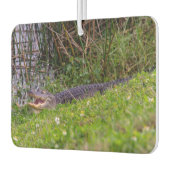 アリゲータービエラ湿地フロリダ写真 カーエアーフレッシュナー (左)