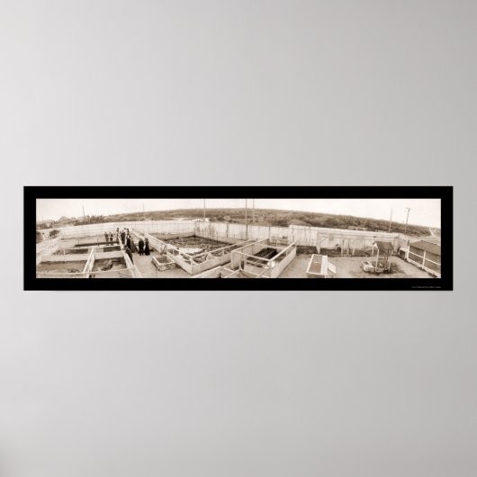 アリゲーターファームフロリダ写真1910 ポスター (正面)